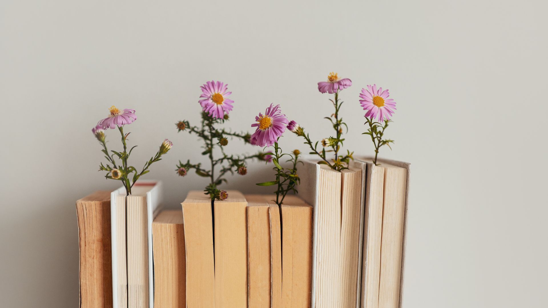 Los mejores diccionarios de gallego: recursos para hablar y escribir mejor